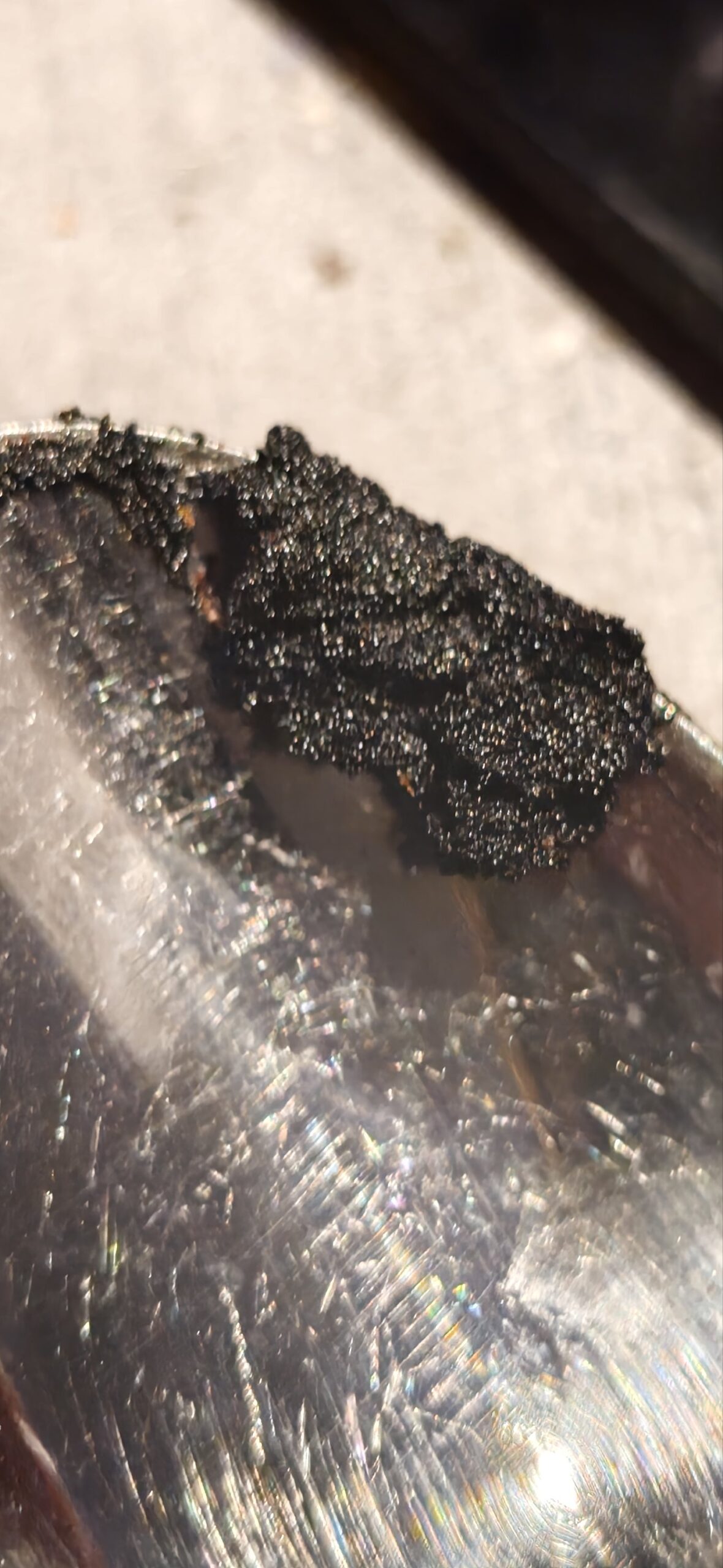 Madagascar Bourbon Vanilla Pods - Image 4