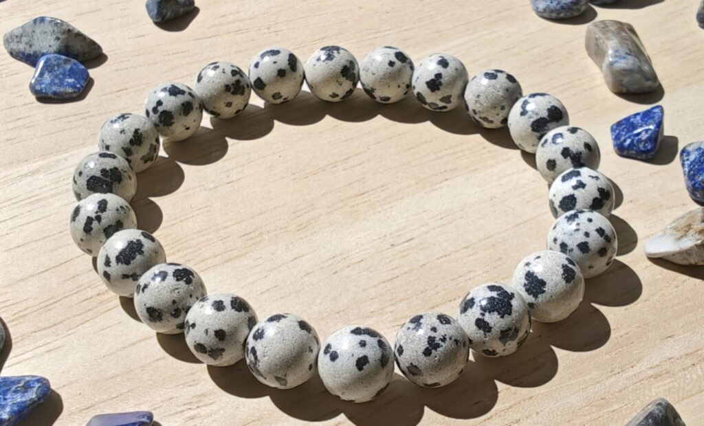 Jewelry dalmatian